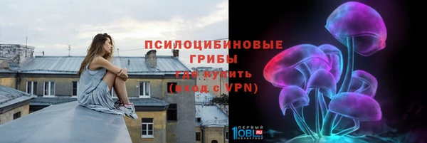 хмурый Мегион