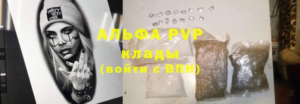 эйфоретик Баксан