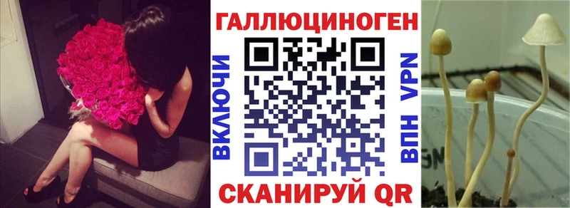 Псилоцибиновые грибы GOLDEN TEACHER  Сельцо 